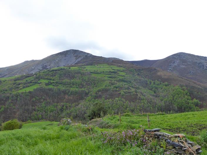 Image No.46-Propriété de pays de 5 chambres à vendre à Valdés