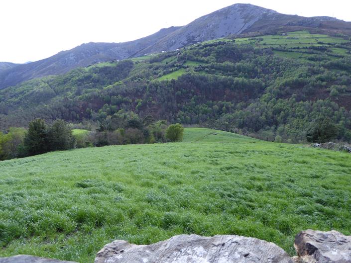 Image No.47-Propriété de pays de 5 chambres à vendre à Valdés