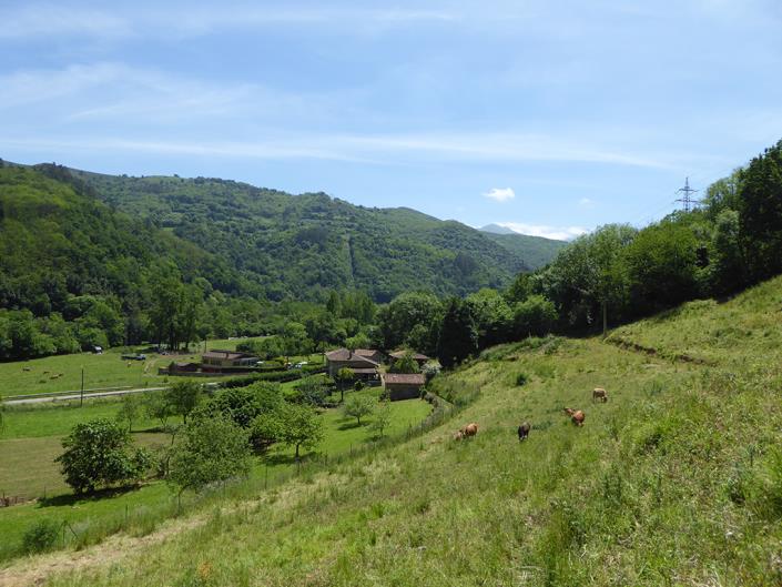 Image No.59-Propriété de pays de 3 chambres à vendre à Trubia