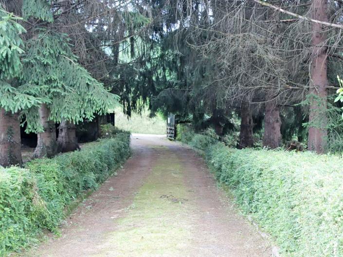 Image No.40-Propriété de pays de 5 chambres à vendre à Las Regueras