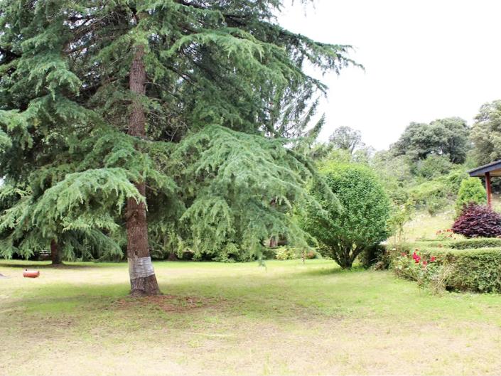 Image No.42-Propriété de pays de 5 chambres à vendre à Las Regueras