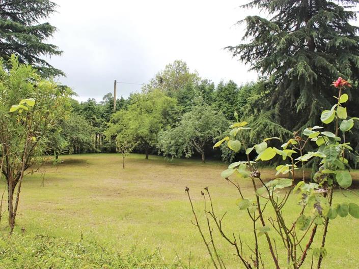 Image No.43-Propriété de pays de 5 chambres à vendre à Las Regueras