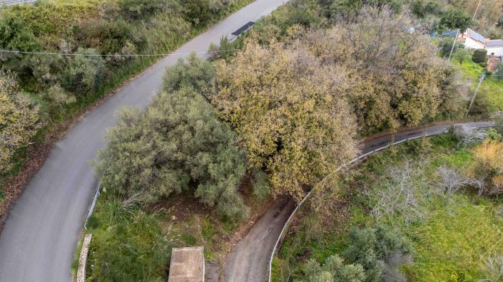 Image No.3-Land for sale