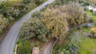 V586-Terreno-Agricolo-a-pochi-km-da-Cefalu--2-