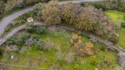 V586-Terreno-Agricolo-a-pochi-km-da-Cefalu--4-