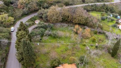 V586-Terreno-Agricolo-a-pochi-km-da-Cefalu--5-