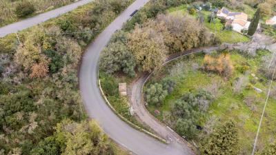 V586-Terreno-Agricolo-a-pochi-km-da-Cefalu--9-