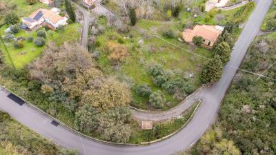 V586-Terreno-Agricolo-a-pochi-km-da-Cefalu--11-
