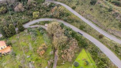 V586-Terreno-Agricolo-a-pochi-km-da-Cefalu--13-