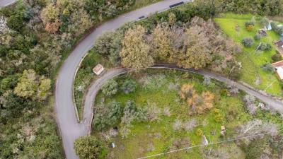 V586-Terreno-Agricolo-a-pochi-km-da-Cefalu--14-