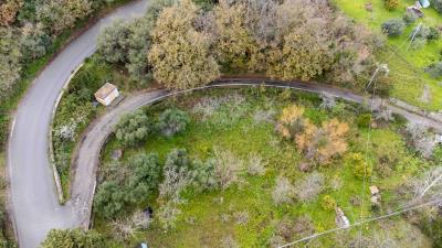 V586-Terreno-Agricolo-a-pochi-km-da-Cefalu--15-