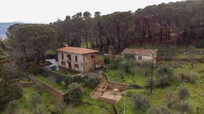 V569-ampia-proprieta-immersa-nel-verde--3-