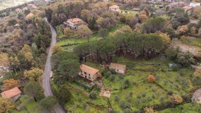 V569-ampia-proprieta-immersa-nel-verde--4-