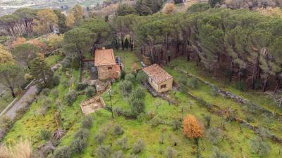 V569-ampia-proprieta-immersa-nel-verde--5-