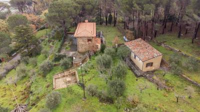 V569-ampia-proprieta-immersa-nel-verde--6-