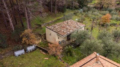 V569-ampia-proprieta-immersa-nel-verde--9-