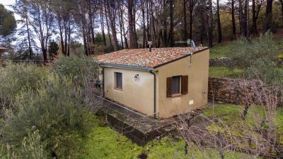 V569-ampia-proprieta-immersa-nel-verde--10-