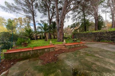 V569-ampia-proprieta-immersa-nel-verde--15-