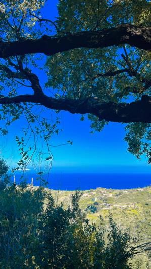 Image No.4-Land for sale