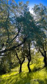 10EF4392-9935-4ED7-A88F-DFE9A6D0306F