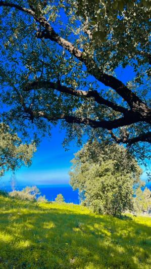 Image No.5-Land for sale