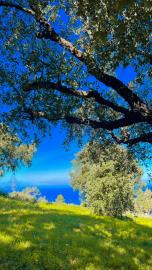 77109E4C-7842-4098-8CFC-EC53B2694E09