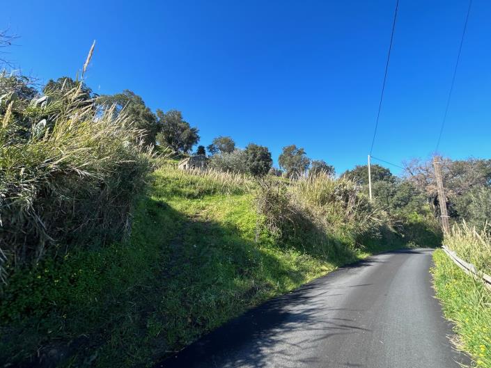 Image No.6-Land for sale