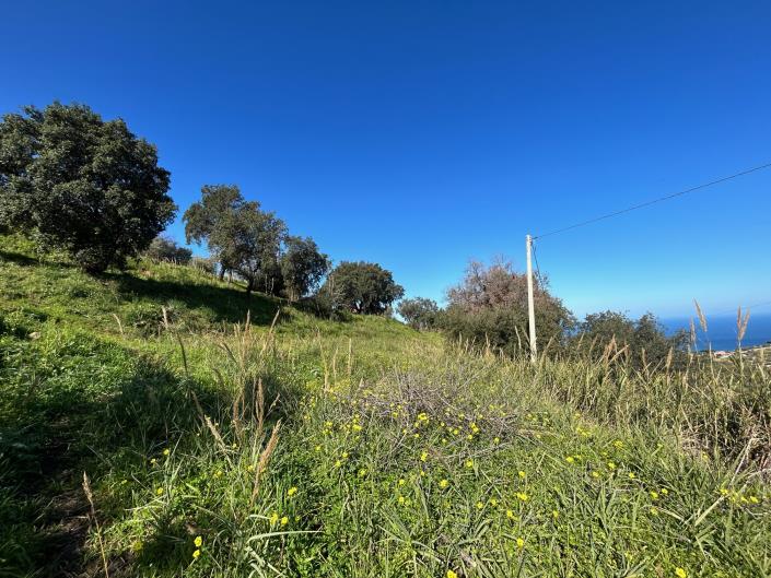 Image No.8-Land for sale