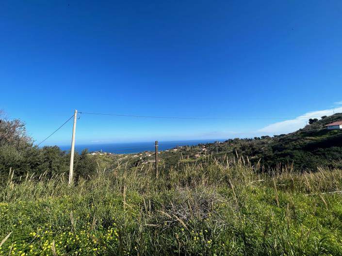 Image No.11-Land for sale