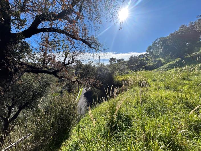 Image No.14-Land for sale