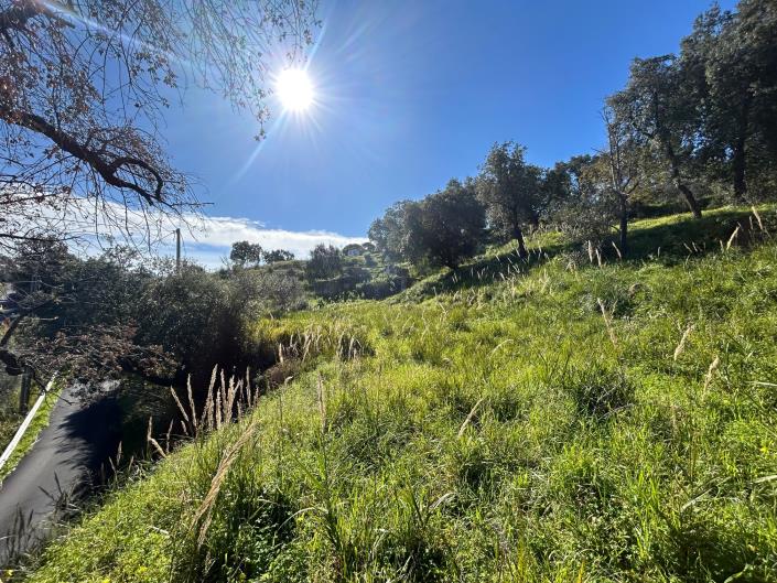 Image No.15-Land for sale