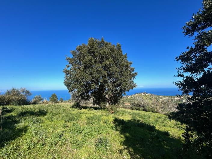 Image No.19-Land for sale