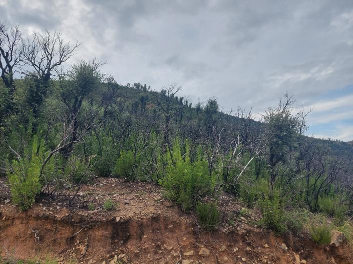 Image No.3-Land for sale