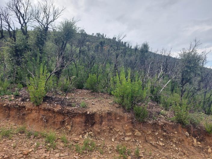 Image No.5-Land for sale