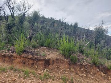 V555-terreno-agricolo-panoramico-a-5-km-dal-centro-abitato-di-Cefalu---5-