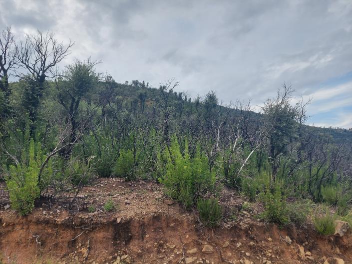 Image No.6-Land for sale