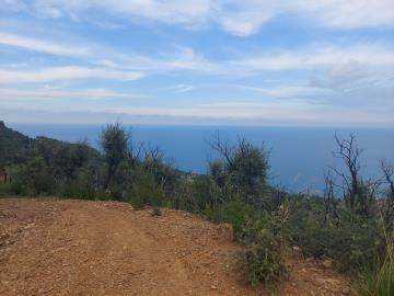V555-terreno-agricolo-panoramico-a-5-km-dal-centro-abitato-di-Cefalu---8-