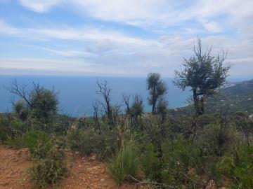 V555-terreno-agricolo-panoramico-a-5-km-dal-centro-abitato-di-Cefalu---10-