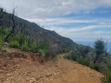 V555-terreno-agricolo-panoramico-a-5-km-dal-centro-abitato-di-Cefalu---11-