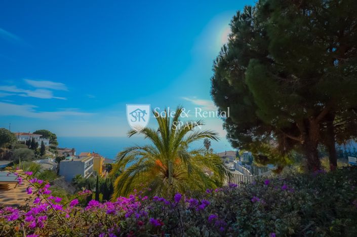 Image No.54-5 Bed Villa for sale