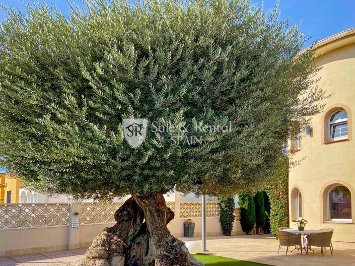 Image No.79-5 Bed Villa for sale