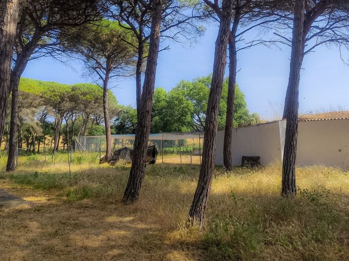 Image No.36-Villa de 5 chambres à vendre à Caldes de Malavella