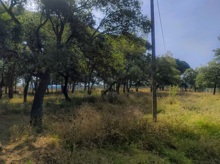 Image No.41-Villa de 5 chambres à vendre à Caldes de Malavella