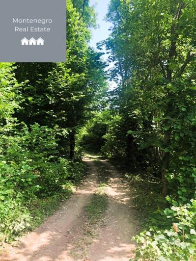 Image No.9-Terre à vendre à Mojkovac