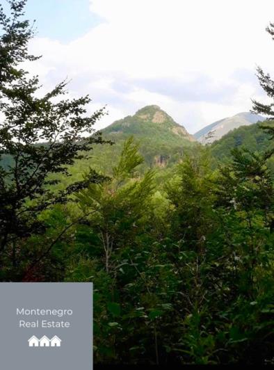 Image No.10-Terre à vendre à Mojkovac