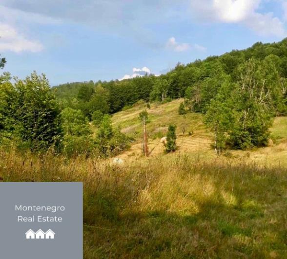 Image No.5-Terre à vendre à Mojkovac