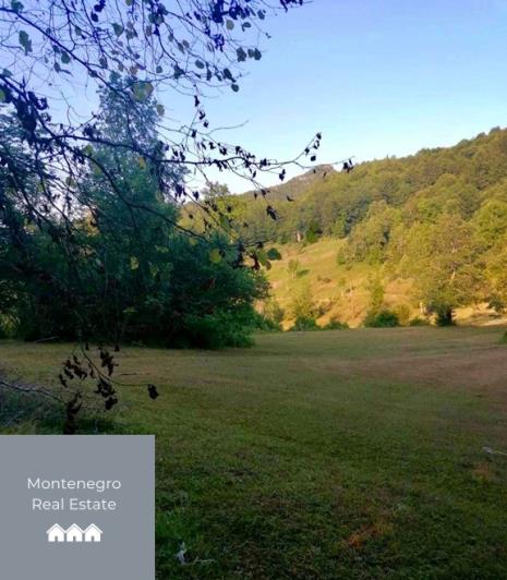 Image No.2-Terre à vendre à Mojkovac