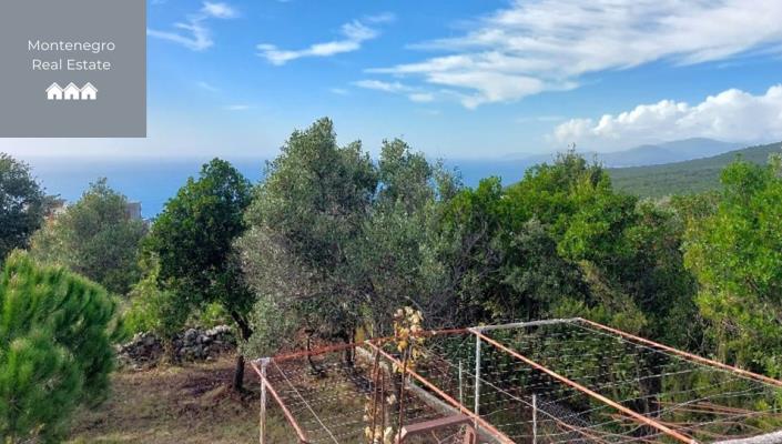 Image No.5-Cottage for sale