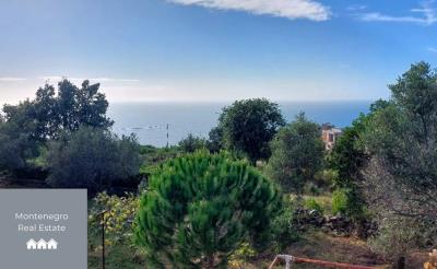 WhatsApp-Image-2024-11-12-at-10-05-29