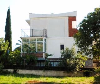 WhatsApp-Image-2024-11-08-at-11-10-12--2-